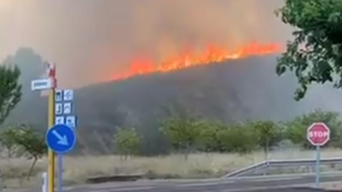 Incendio forestal en Jalance.