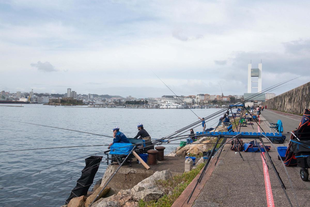 Competición de pesca en el dique de abrigo