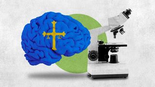 Rejuvenecer el cerebro es posible, concluye una investigación de científicos asturianos de alto impacto