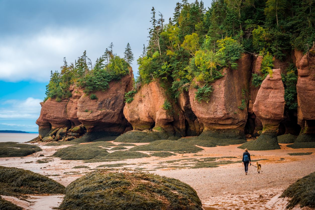 Hopewell Rocks en New Brunswick, Canadá.