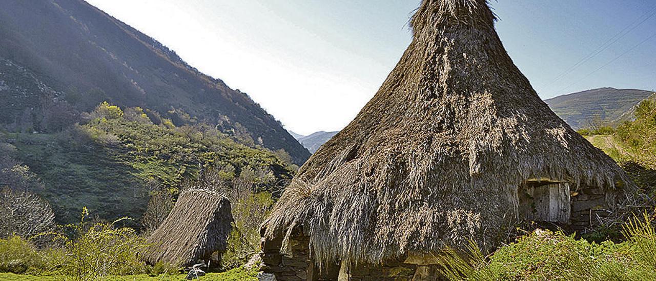 Teitos, cabañas con techumbre vegetal, en la braña de La Campa.