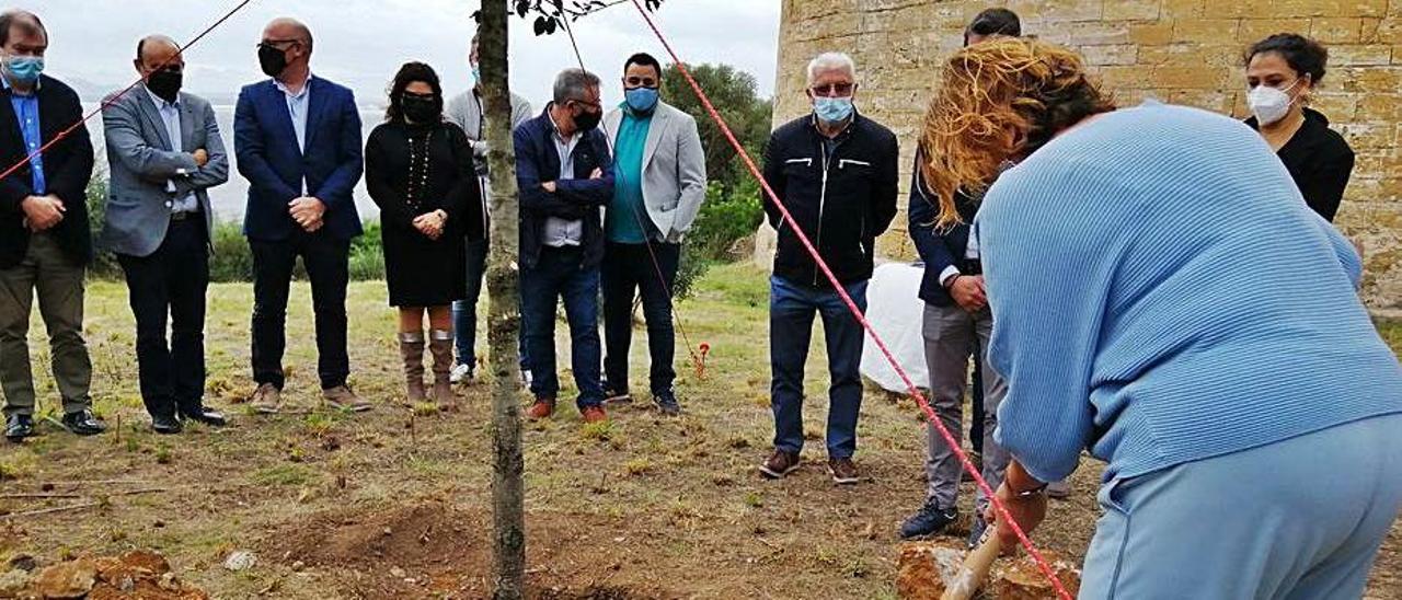 La alcaldesa Bàrbara Rebassa siembra la encina. | AJUNTAMENT