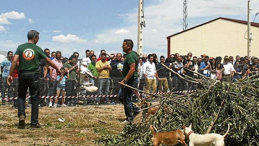 El III Día del Cazador Extremeño congrega a miles de aficionados