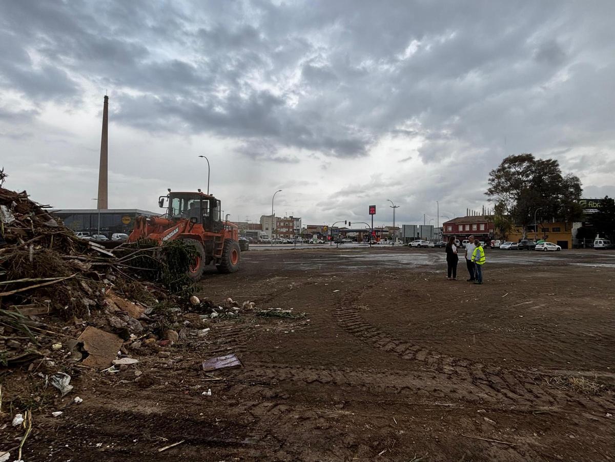 La vicealcaldesa, rebeca Pérez, visitó la actuación acometida en una parcela municipal situada entre las carreteras de El Palmar y Santa Catalina.
