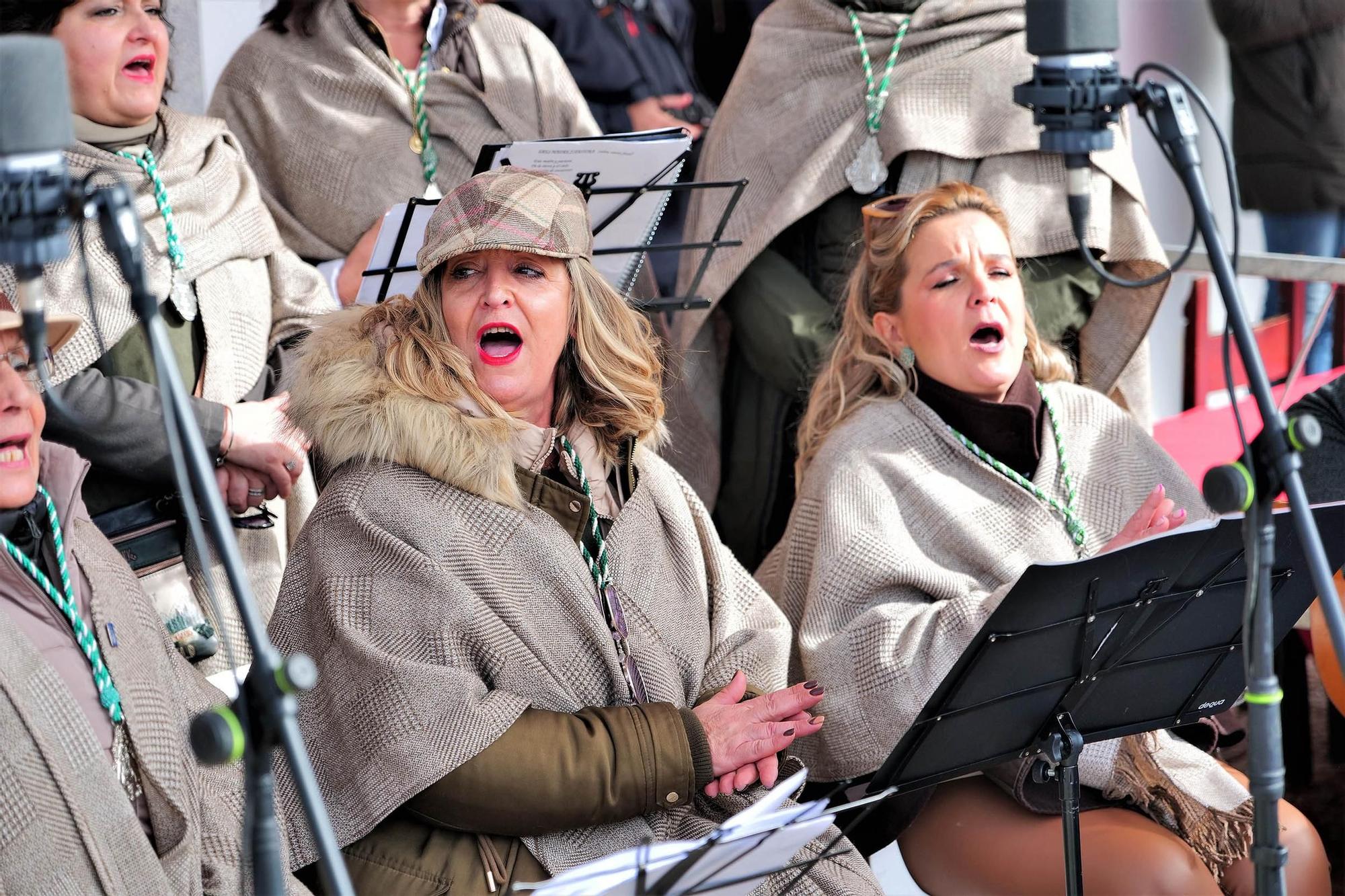 Pozoblanco vive la traida de la Virgen de Luna