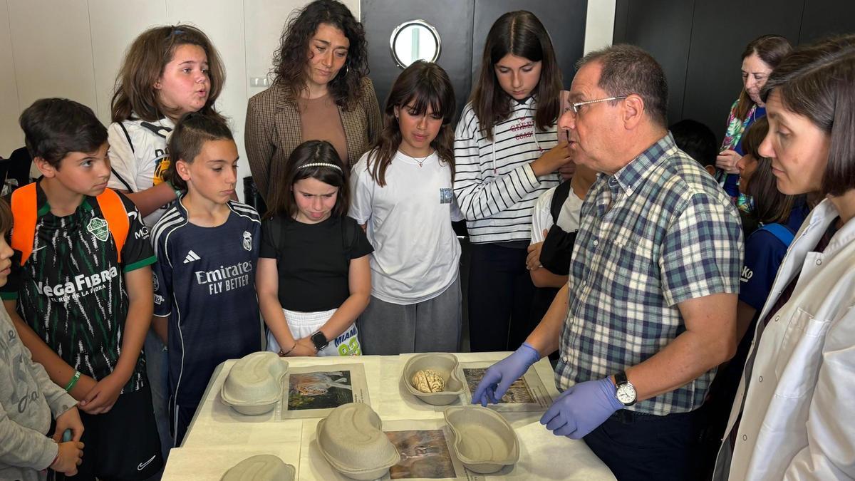 Monkey, Bear, and Lion Brains: How a Spanish City Teaches Kids About Alzheimer’s
