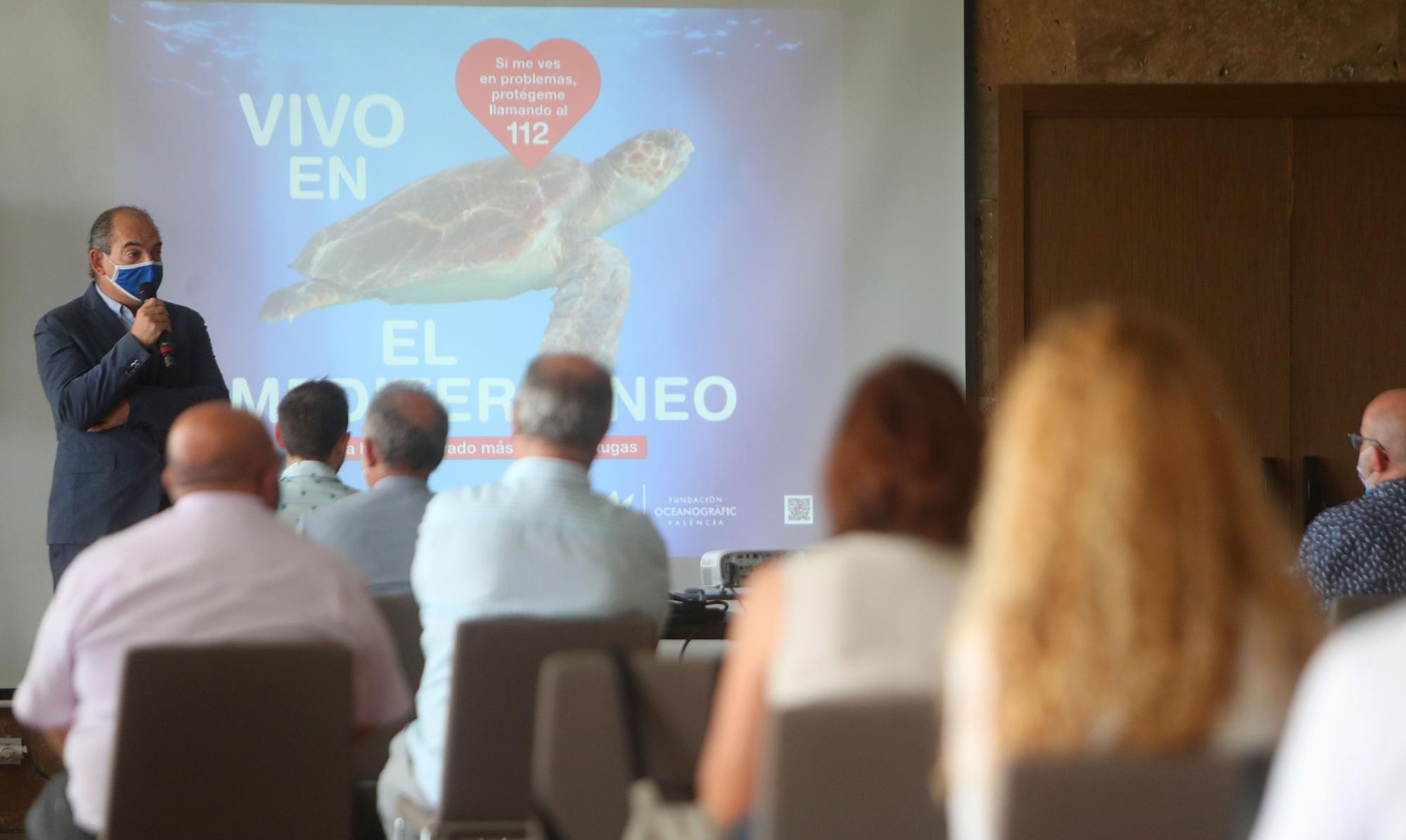 Liberación de tortugas marinas en el Parador de El Saler