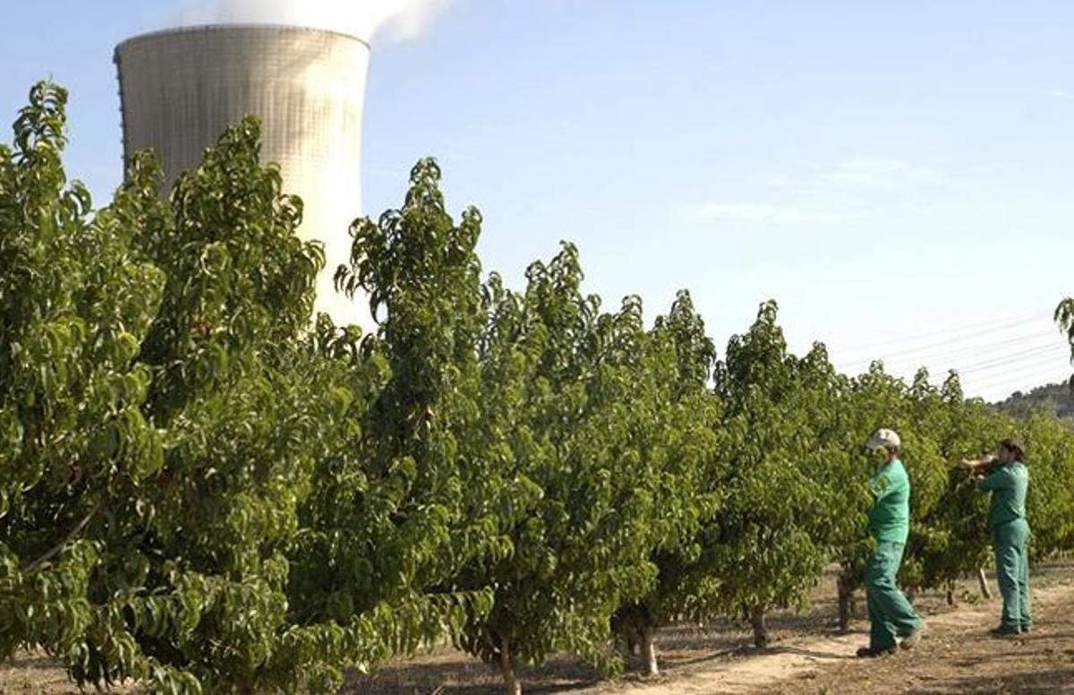 Hort a tocar de la central nuclear d’Ascó. Hort a tocar de la central nuclear d’Ascó.