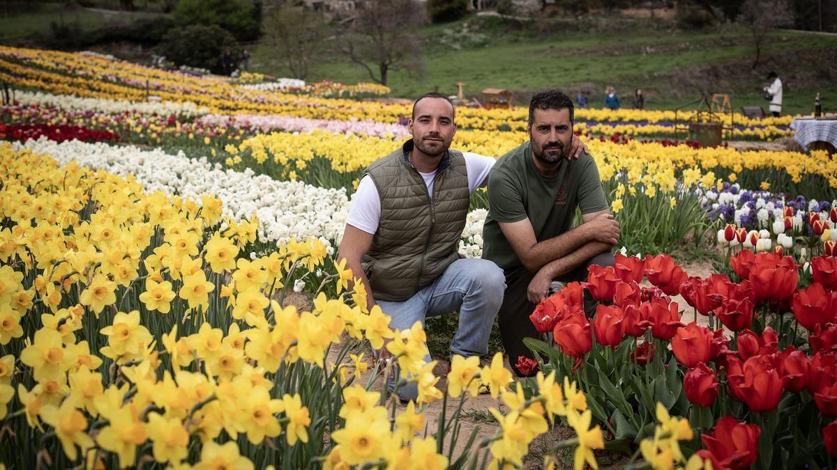 El jardín viral de Barcelona con más de 250.000 flores