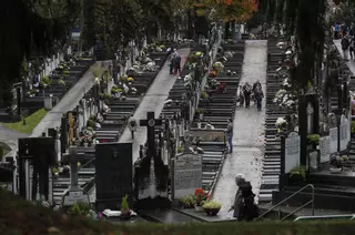 Los tumores desbancan a las enfermedades del sistema circulatorio como la causa más frecuente de muerte en España