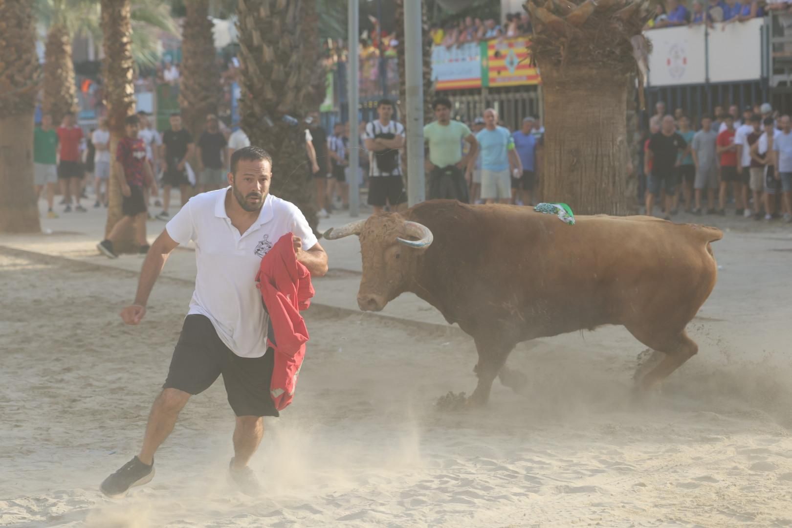 Galería | Intensa jornada taurina en Sant Pere 2025