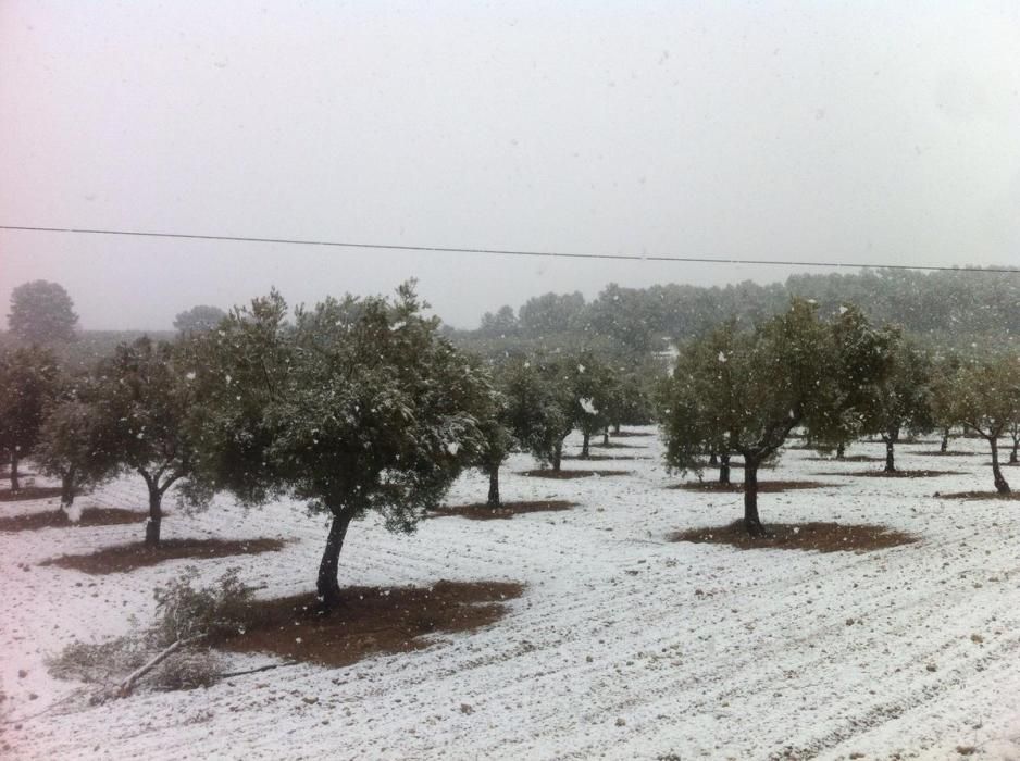 La nieve cae sobre un campo agrícola de Casas Nuevas, en Requena.