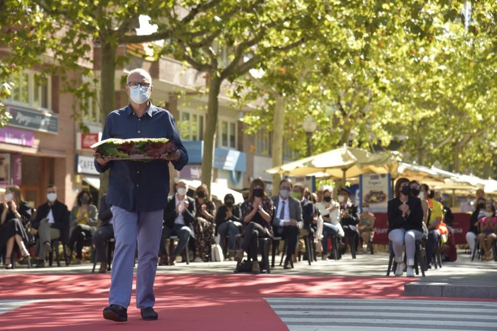 L'acte de la Diada 2020 a Manresa, en fotos