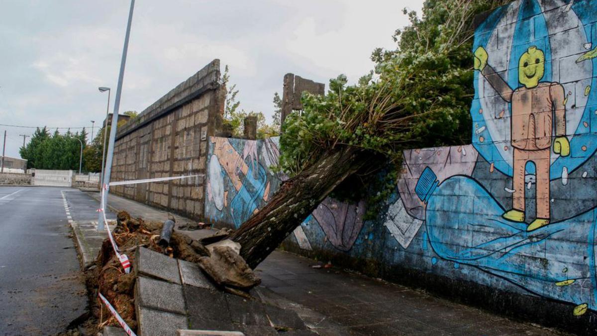 Un árbol destrozó un muro de cierre en Vilaxoán. |   // IÑAKI ABELLA