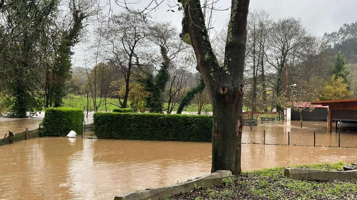 La zona inundada de La Figarona. |