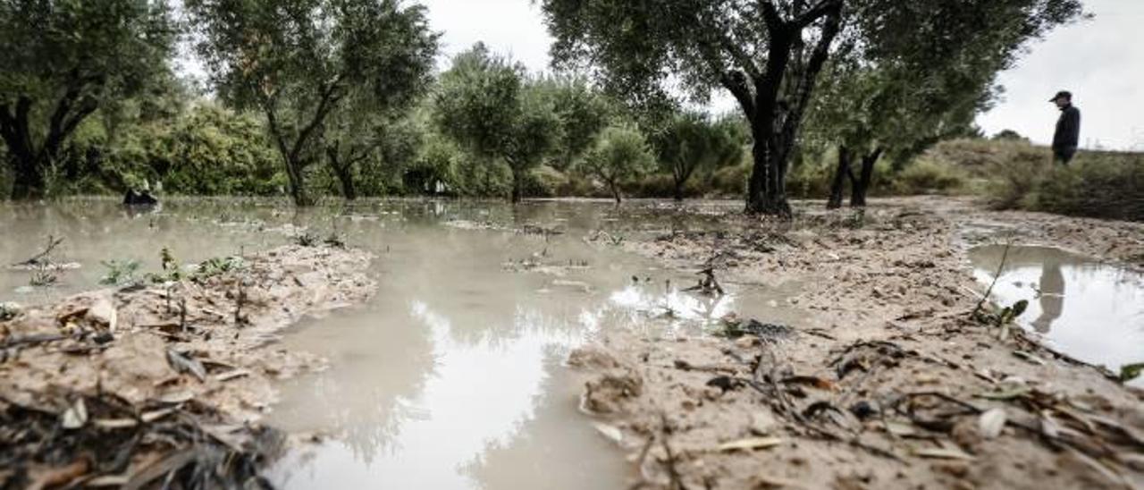 Las lluvias alivian la sequía  y ahorran 25 millones en agua