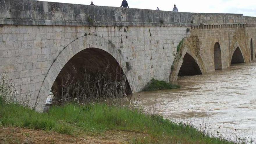 Vecinos pasean por el puente de piedra de Toro para observar una de las últimas crecidas del río Duero. Foto