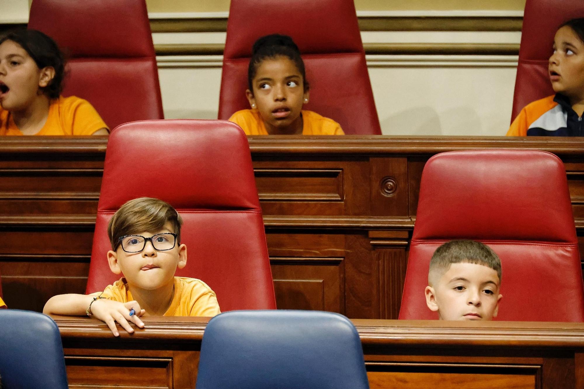 Escolares en el Parlamento de Canarias