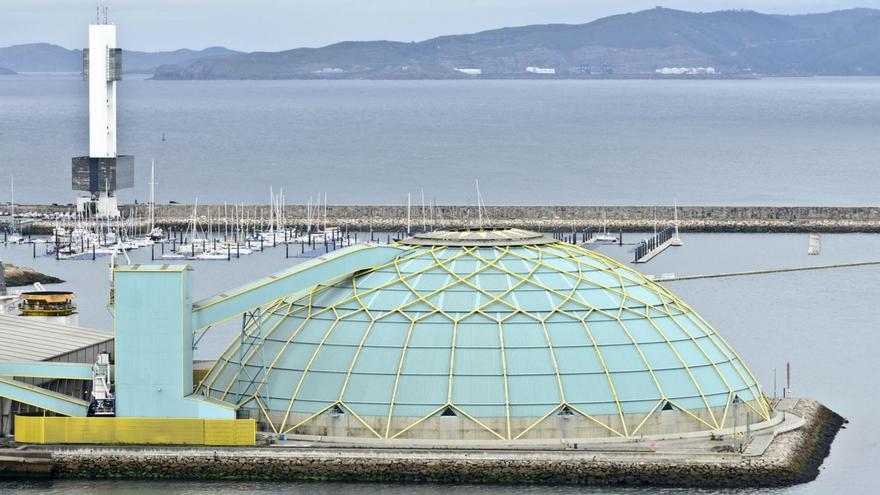 ¿Qué hacer con la medusa de A Coruña?