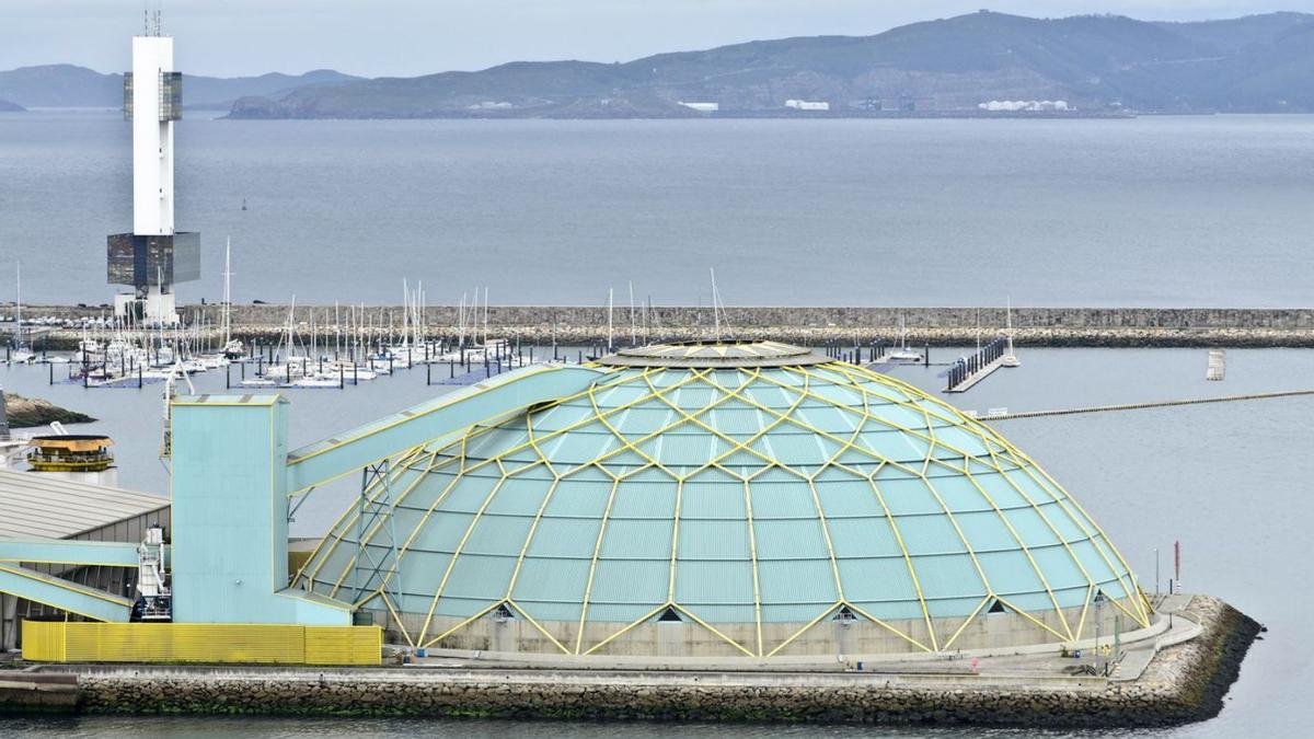 La Medusa, en el Muelle del Centenario.   | // FRAN MARTÍNEZ