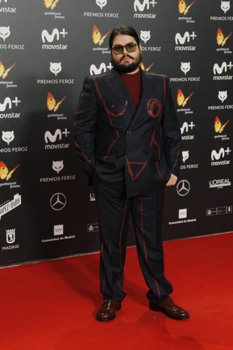 La alfombra roja de los Premios Feroz