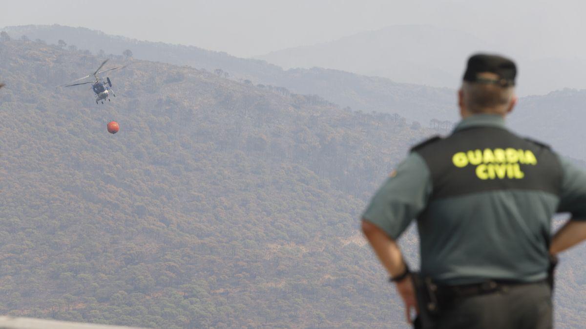 El incendio de Málaga, en imágenes