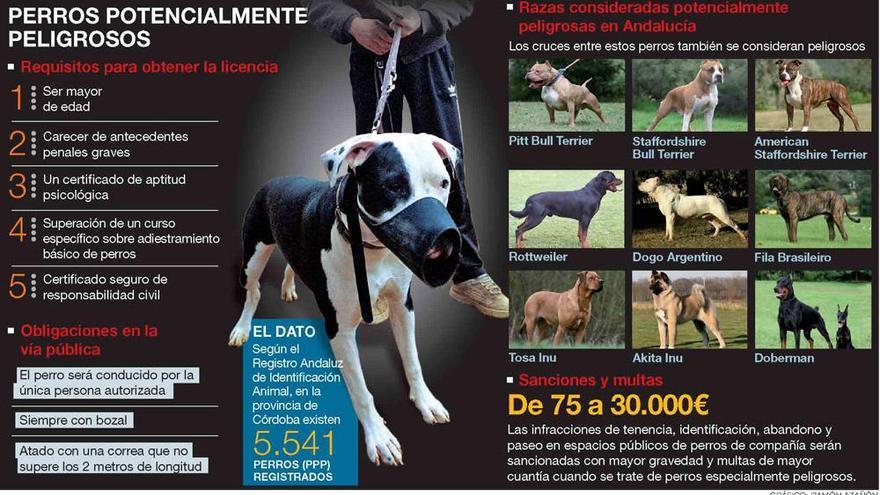 El Ayuntamiento concede 179 licencias para perros peligrosos en cuatro  meses - Diario Córdoba