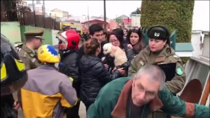 Los bomberos resucitan in extremis a un perro en el sur de Chile