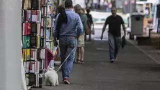 Santa Cruz programa su Feria del Libro en el Parque García Sanabria durante las Fiestas de Mayo