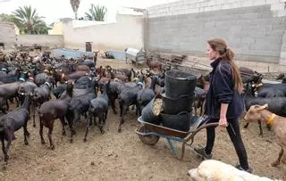 La provincia se queda sin 630 explotaciones y 50.000 cabezas de ganado en solo diez años