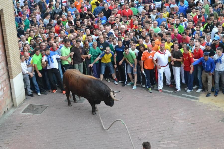 Enmaromado 2016: Así fue el Día Grande en Benavent