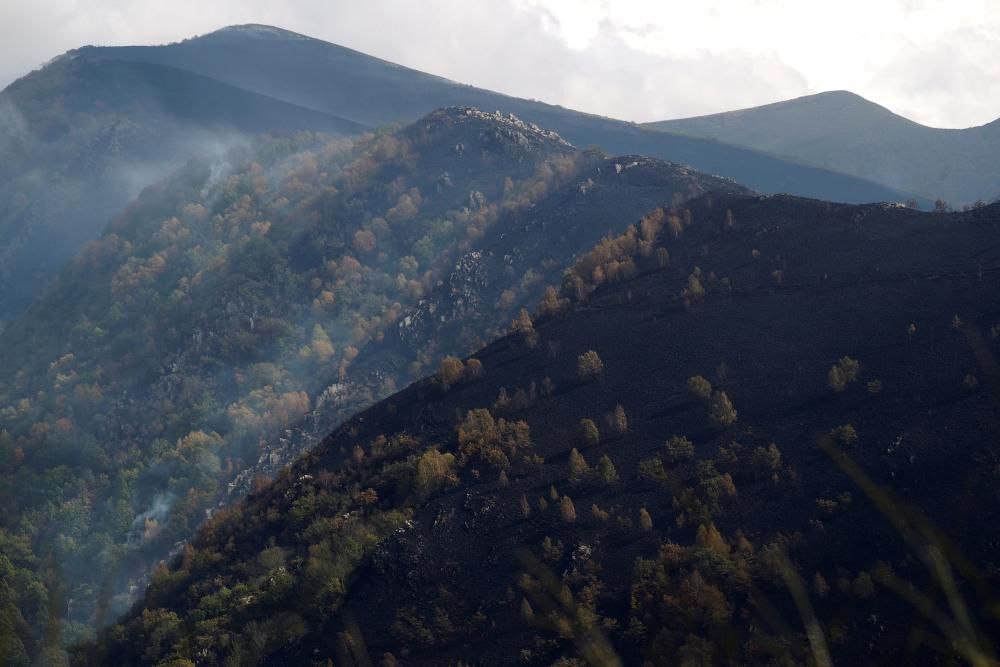 El terrorismo incendiario arrasa el Sur de Galicia