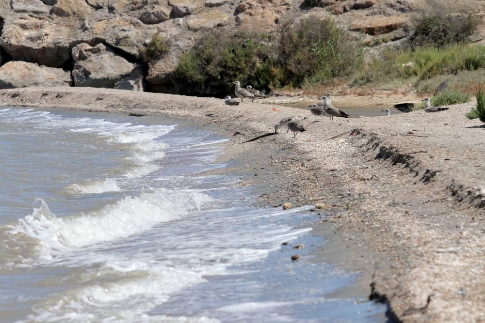 La rambla de El Albujón, epicentro de los vertidos al Mar Menor