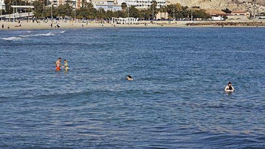 Bañistas disfrutando de la playa del Postiguet, en Alicante, esta semana.
