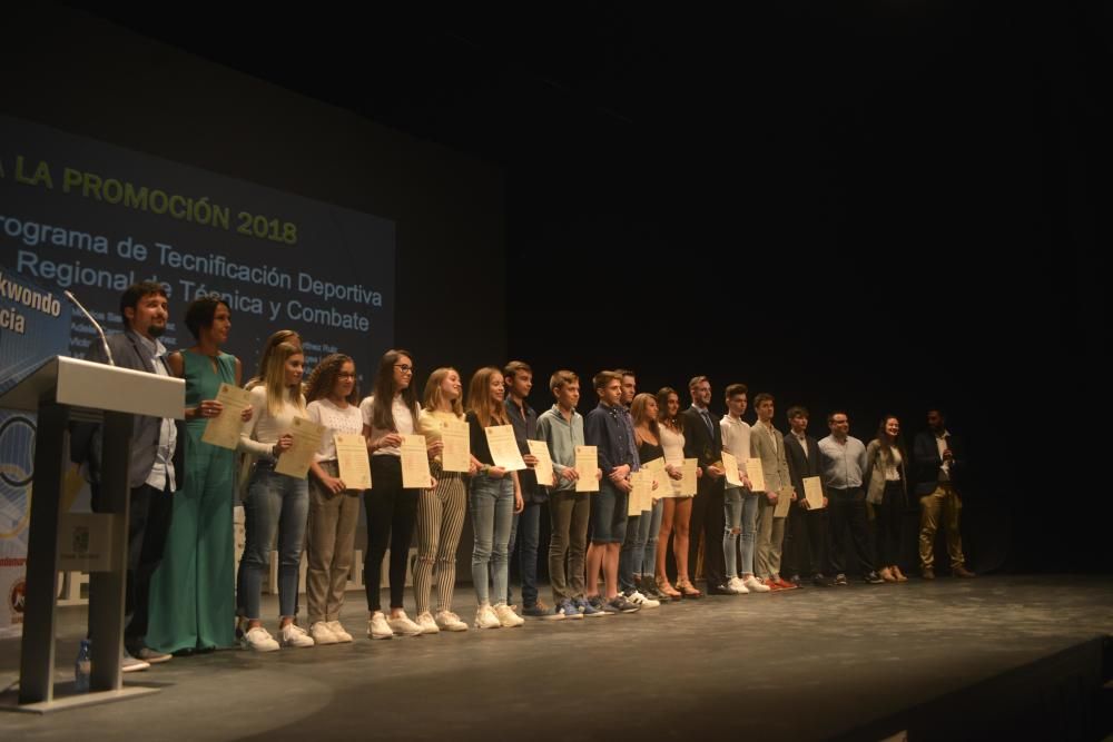 Entrega de premios de la Federación Regional de Taekwondo