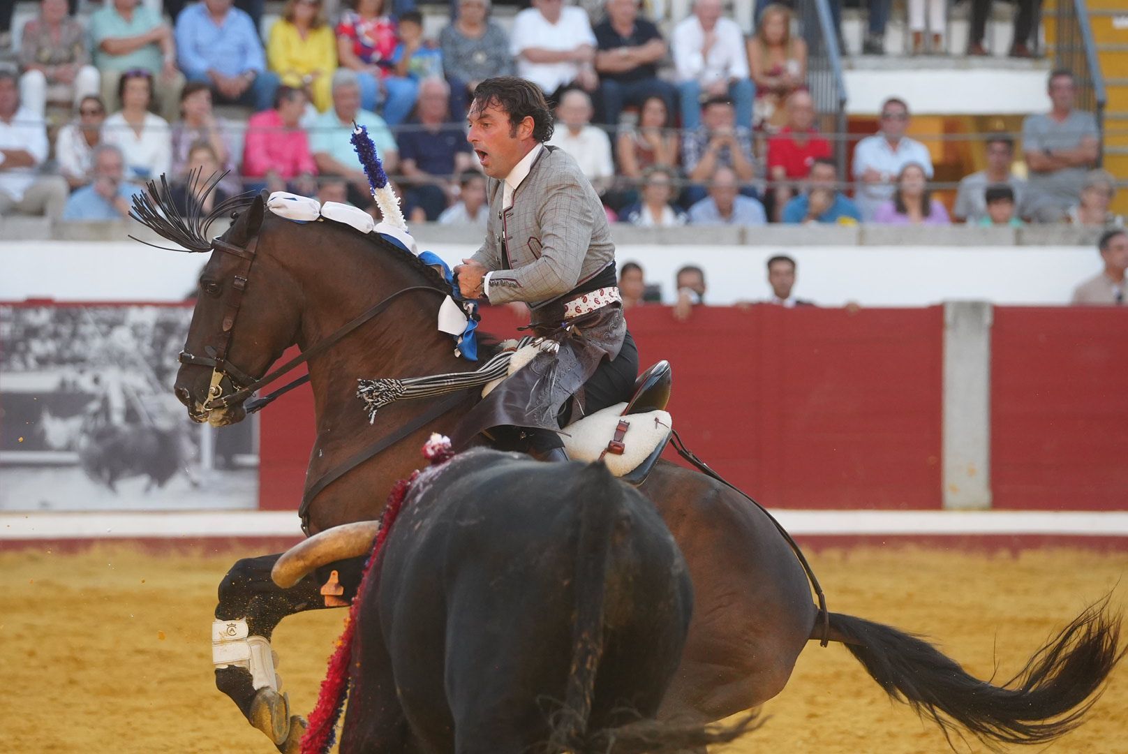 La corrida de rejones en Pozoblanco, en imágenes