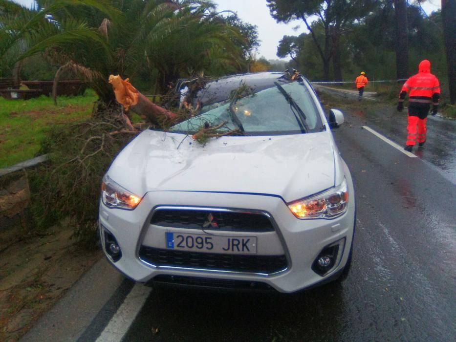 Los estragos del temporal en Mallorca