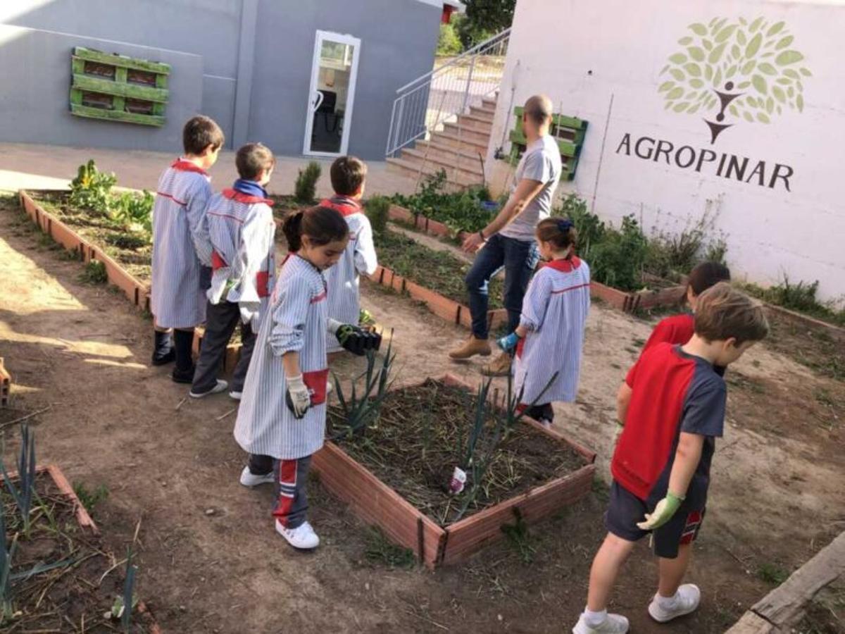 'Si se divierten aprenden', ese es uno de los lemas educativos del colegio El Pinar.