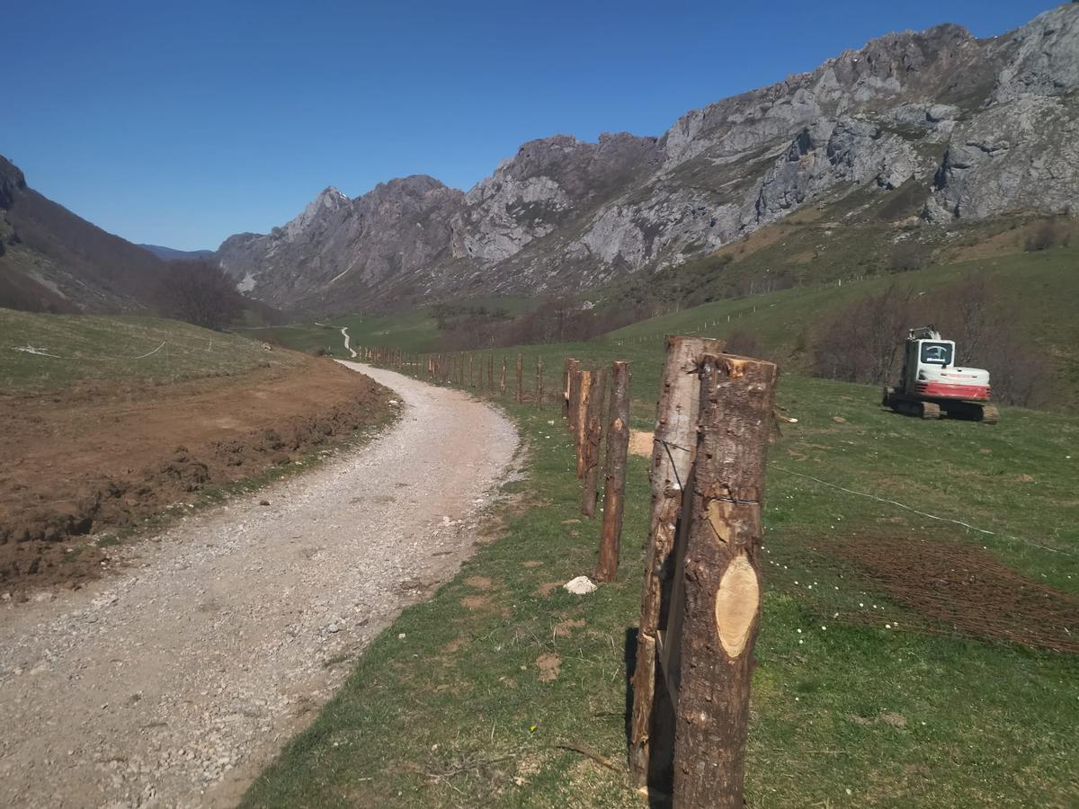 En imágenes: Reposición de cierres en Valle de Lago (Somiedo) tras el rodaje de Los juegos del hambre