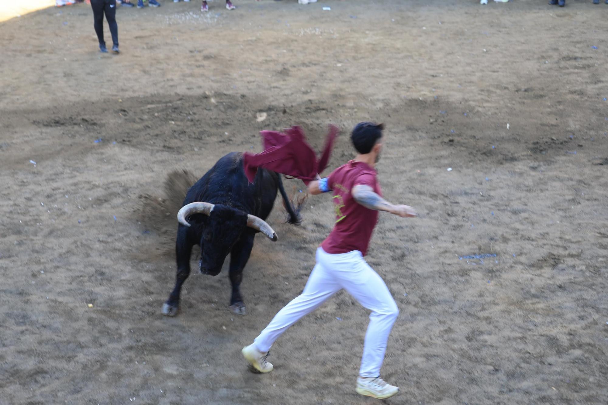 Las imágenes del primer encierro y de las exhibiciones taurinas de las fiestas de Almassora