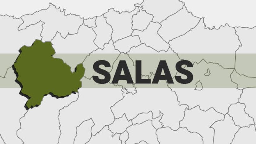 Resultados de las elecciones generales en Salas
