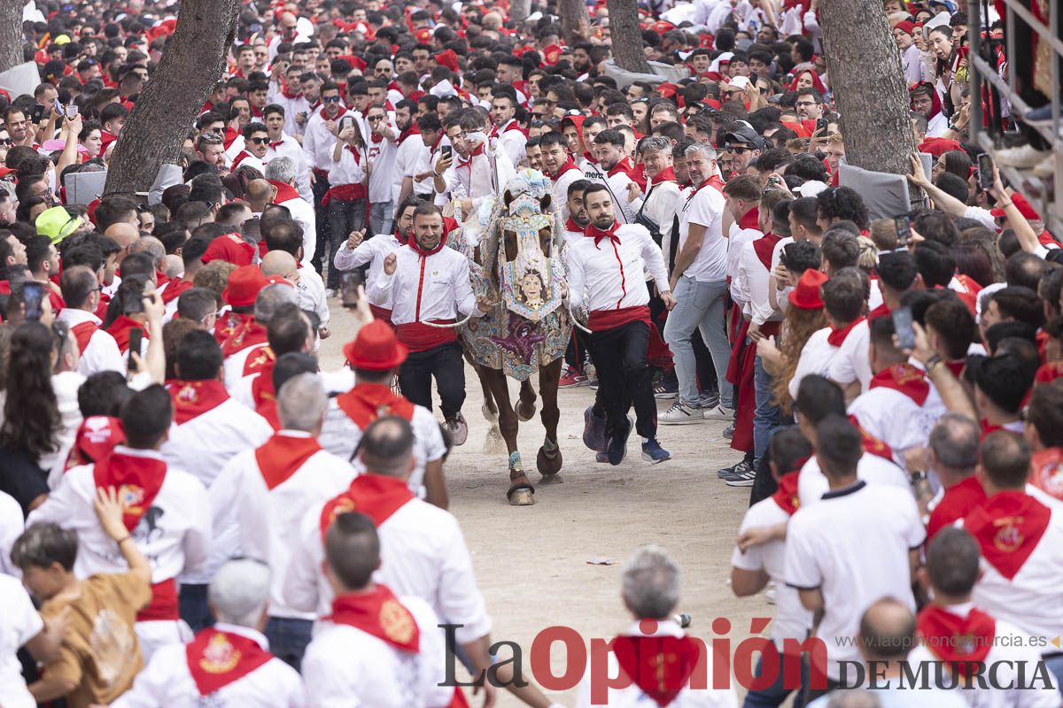 Así se ha vivido la carrera de Los Caballos del Vino en Caravaca