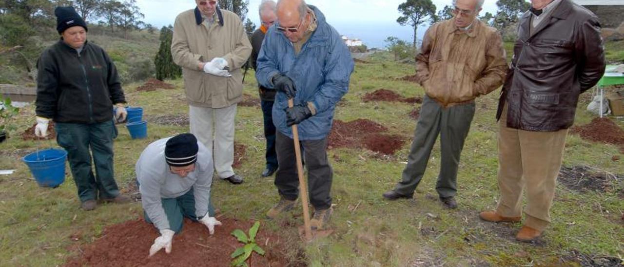 Domingo González (derecha) y Lizardo Martell (centro) plantando un árbol en un acto de la Fundación Foresta. | | LP/DLP