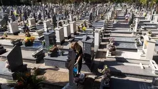 Alicante refuerza los autobuses al cementerio por Todos los Santos: fechas y horarios del servicio especial