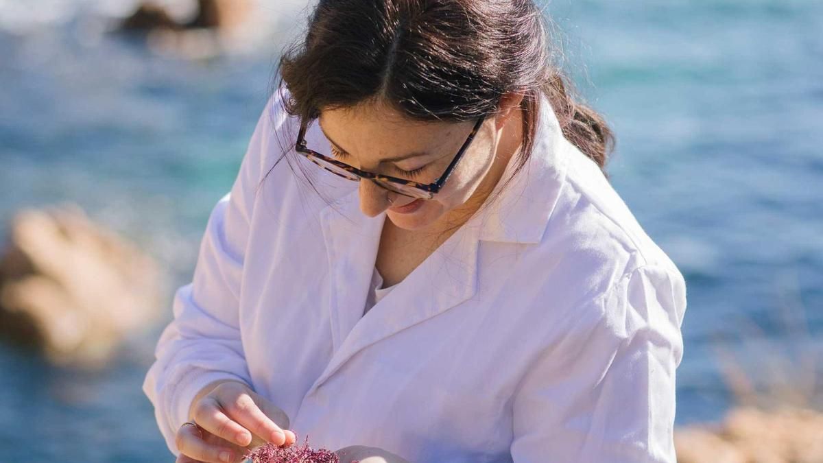 Sònia Hurtado: “Se ha investigado poco un recurso nutricional tan potente y abundante como son las algas”
