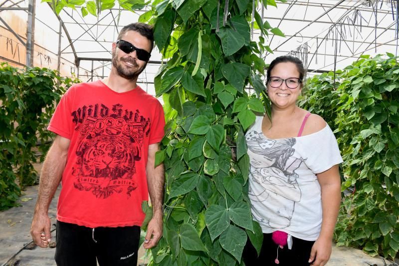 Dos jóvenes agricultores que cultivan, procesan y