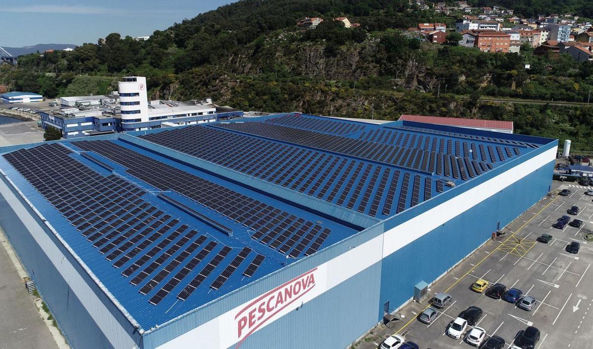 Vista aérea de las instalaciones de Nueva Pescanova en Chapela.