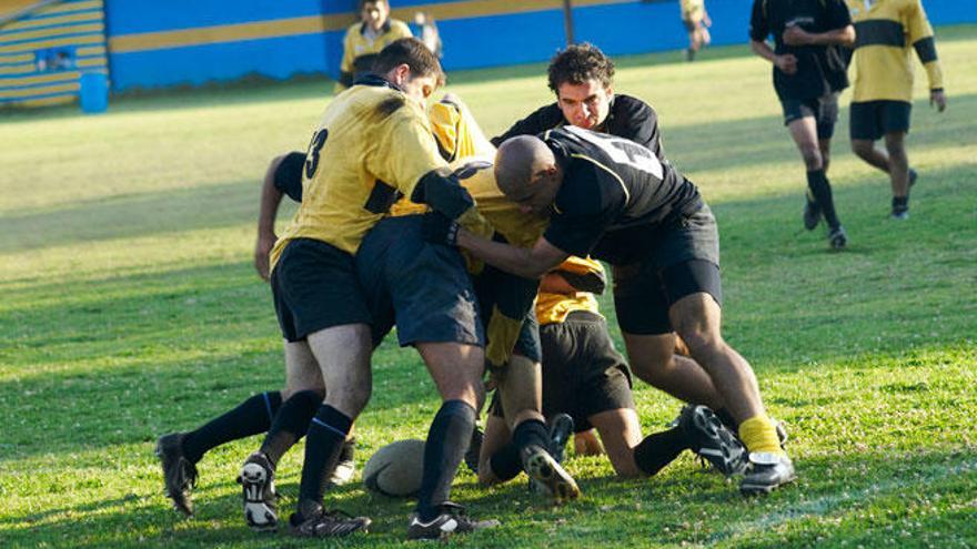 Juzgan a una mujer en Palma por agredir a su expareja, un jugador de rugby