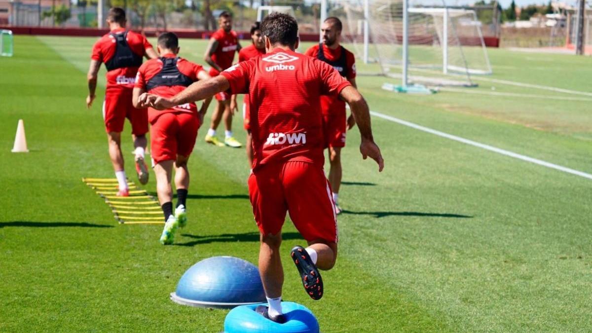 Los jugadores del Mallorca realizan un entrenamiento en Son Bibiloni.