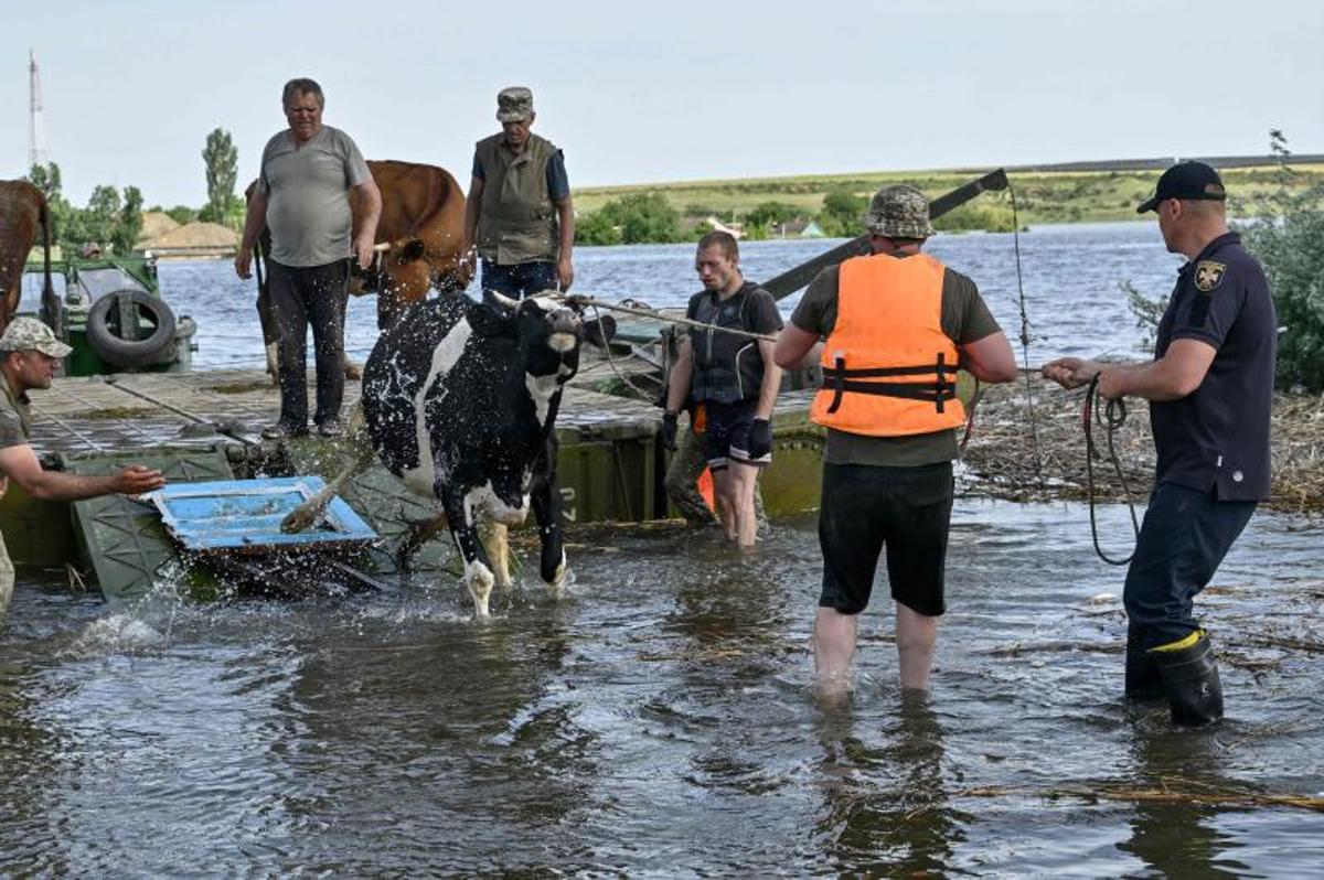 Los voluntarios entregan alimentos a los residentes locales en un área inundada, en medio del ataque de Rusia a Ucrania, en Kherson